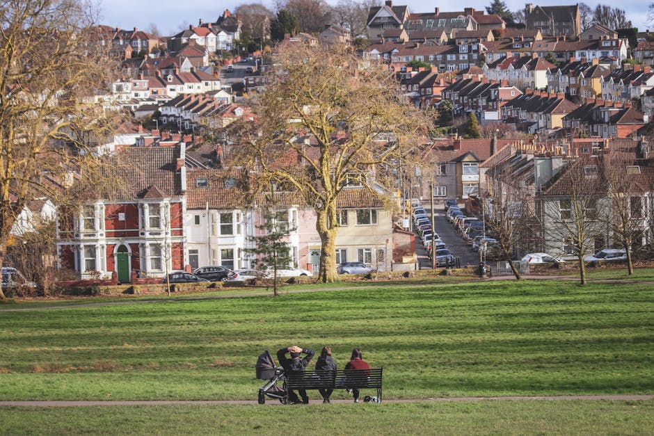 A wide view of a neighborhood in Telegraph Hill Park area, showing residential houses with red, white, and beige facades and tiled roofs set on a hilly terrain. In the foreground, a public park features a grassy field with three people sitting on a black metal park bench; two are engaged in conversation while one adjusts their hair or headwear. Behind the bench, a paved path runs parallel to the grassy area. To the left, there are leafless trees with sturdy trunks and sprawling branches, indicating late autumn or winter. On the middle ground, a large tree with bare branches stands prominently, and behind it, a narrow street lined with parked cars extends uphill towards densely packed terraced houses. The scene is well-lit with natural daylight, capturing elements of outdoor living and urban housing, relevant for house removals and moving services in the area, as handled by Man with Van Brockley.